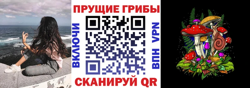 Псилоцибиновые грибы Psilocybe  закладки  Палласовка 